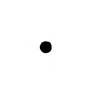 instagram-icon-bottom-white.png