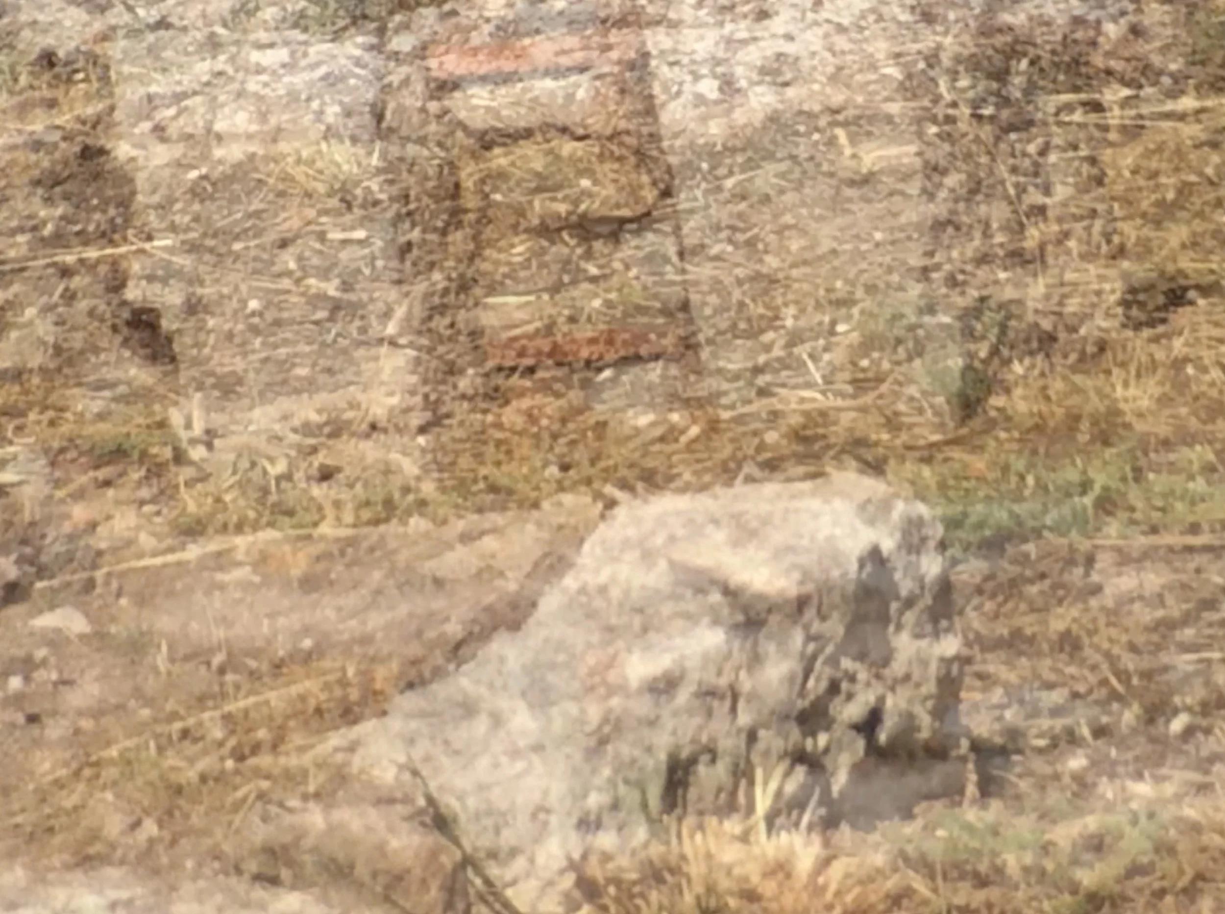 peripatetikos 1: Agora, or things indifferent (2015-2016). HD video, color, 5.1 Dolby sound, 11m Agora, or things indifferent is the first iteration of a new series works that I call “philosopher walks,” or rather, peripatetikos, after the peripatetic philosophers of ancient Greece. The material for Agora was shot in Athens on July 2, 2015, just a few days before the referendum on the European Union’s economic reform package. The work is built from nearly 1200 still images captured contiguously in a circular walk around the remains of the Middle Stoa in the ancient Athens agora, which gave the Stoic philosophers their name. This material was then animated by assembly into a “time pyramid” where different layers of the same sequence of images are retimed out-of-phase with another at different levels of opacity. Inspired by Stoic theories of perception, movement is here refigured as displacement, and the image as an unstable fluctuation between matter and light, all of which are indifferent to human will.