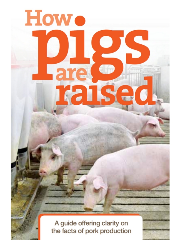 How Pigs are Raised