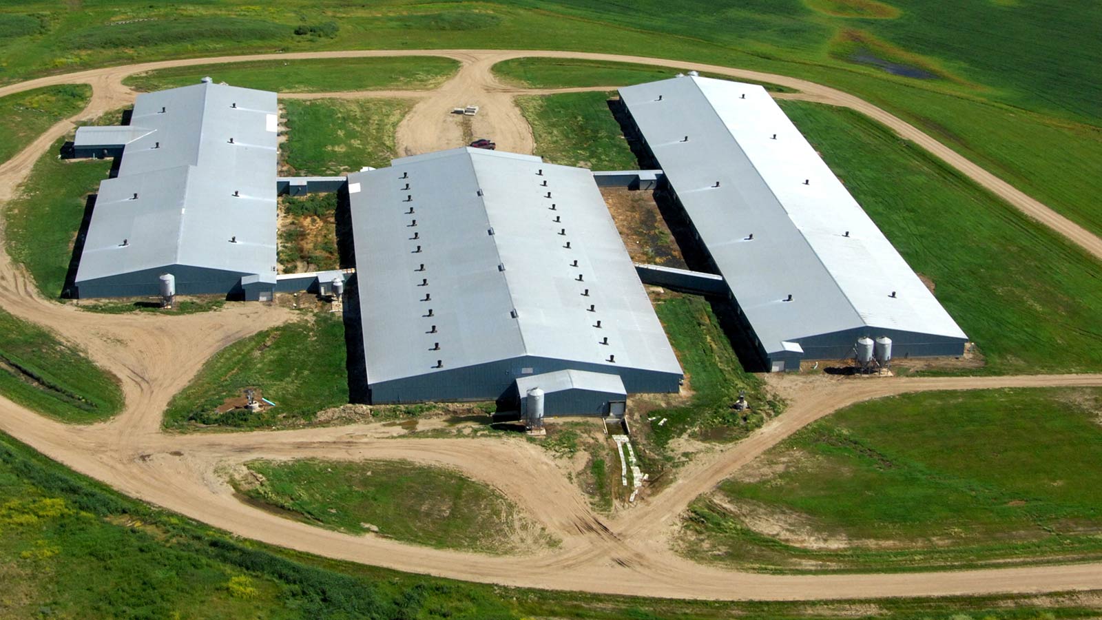 Building a New Barn — Saskatchewan Pork Development Board