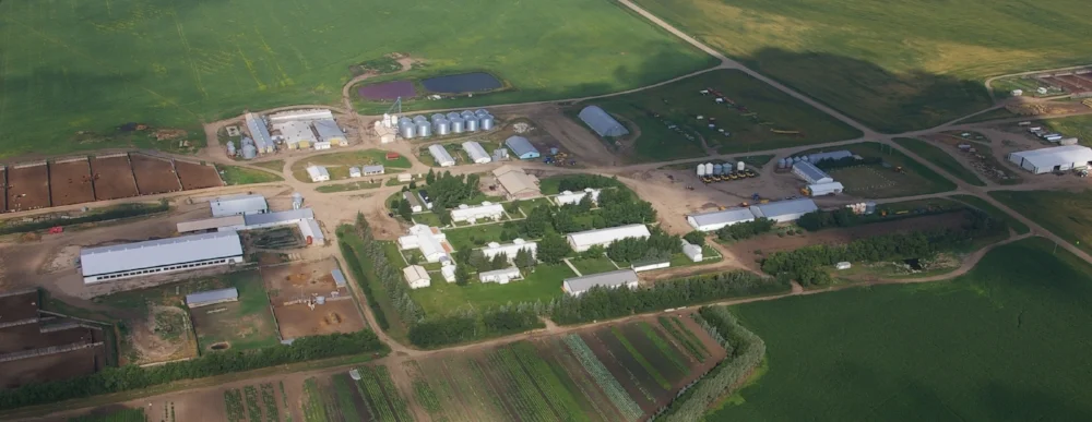 Pig-Farm.jpg