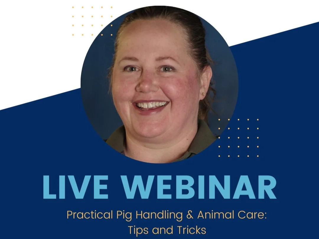 Sask Pork Spring Series Webinar: Practical Pig Handling & Animal Care: Tips & Tricks