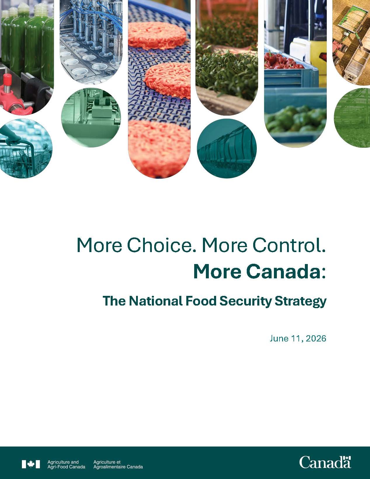 national_food_security_strategy_06-26-en_Page_01.jpg