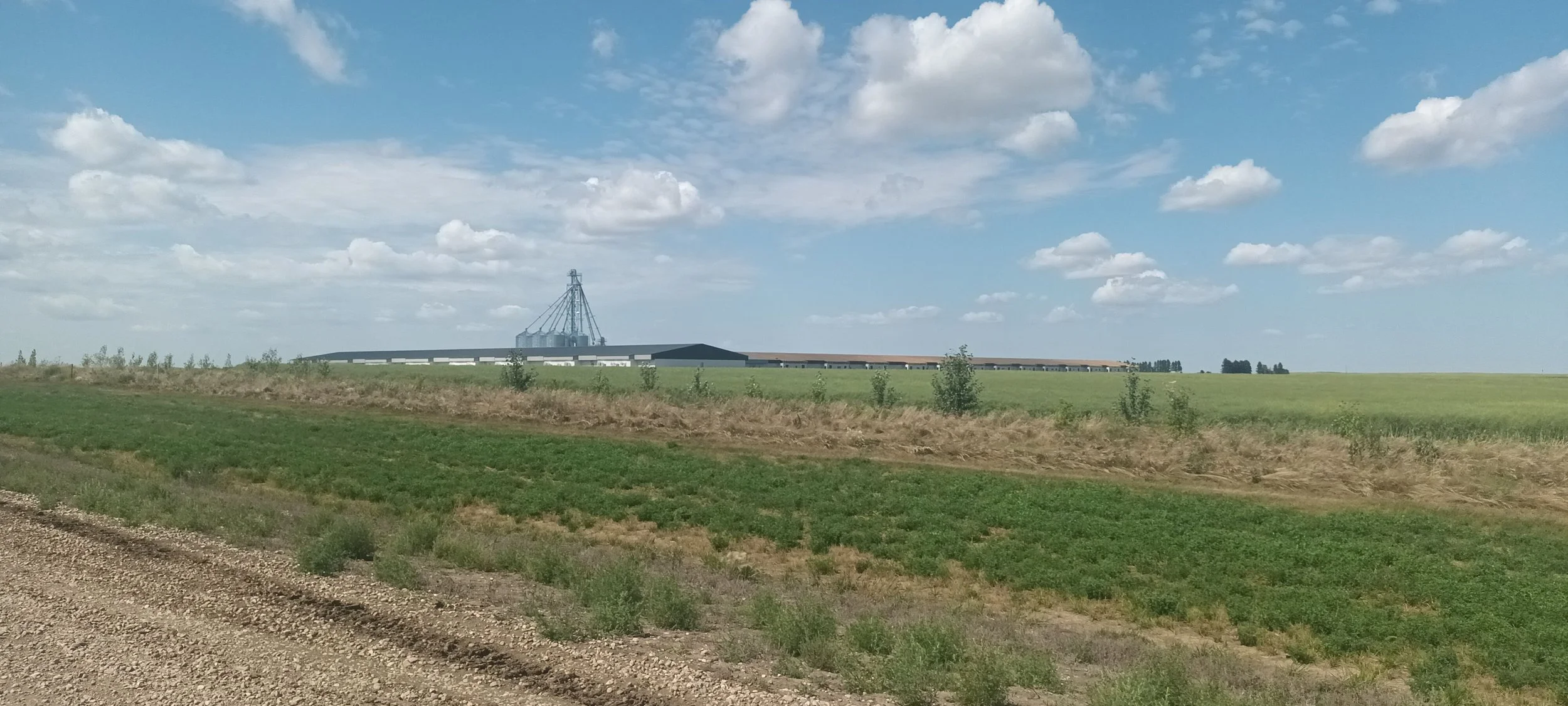20260818_132251.jpg
