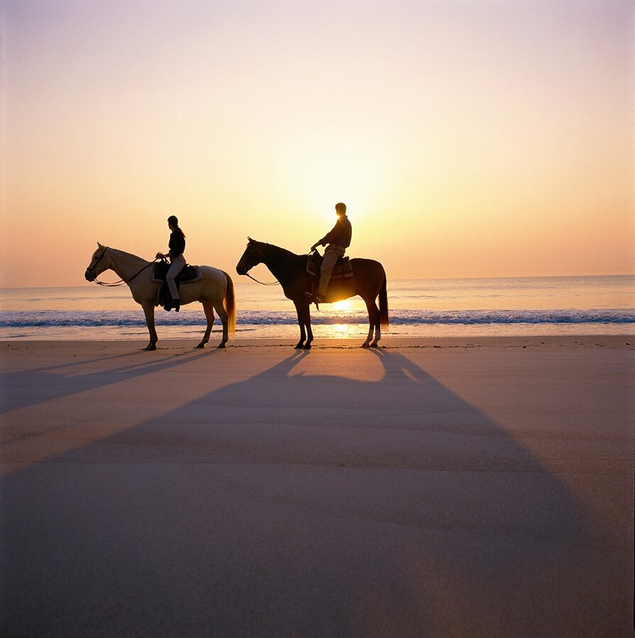 Horse Sunset.jpg