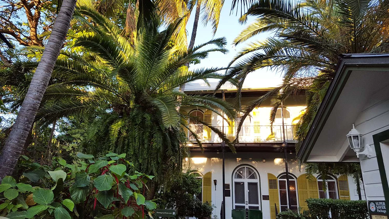 Hemingway House, Key West