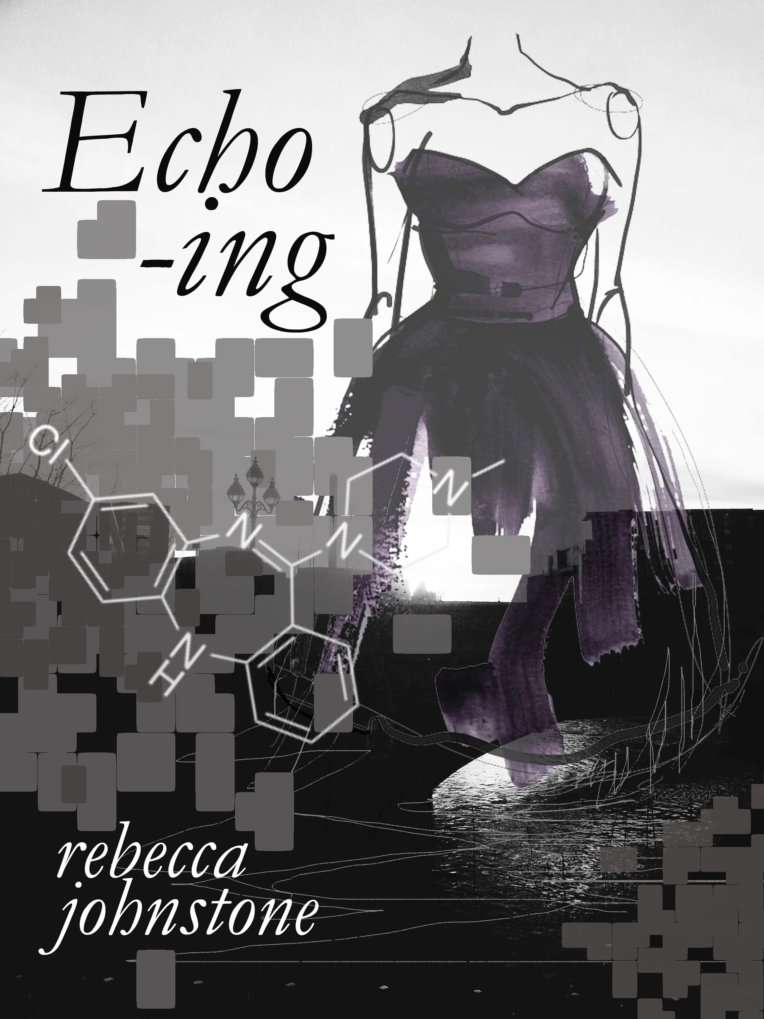Dress-Book-Cover-Echoing.jpg