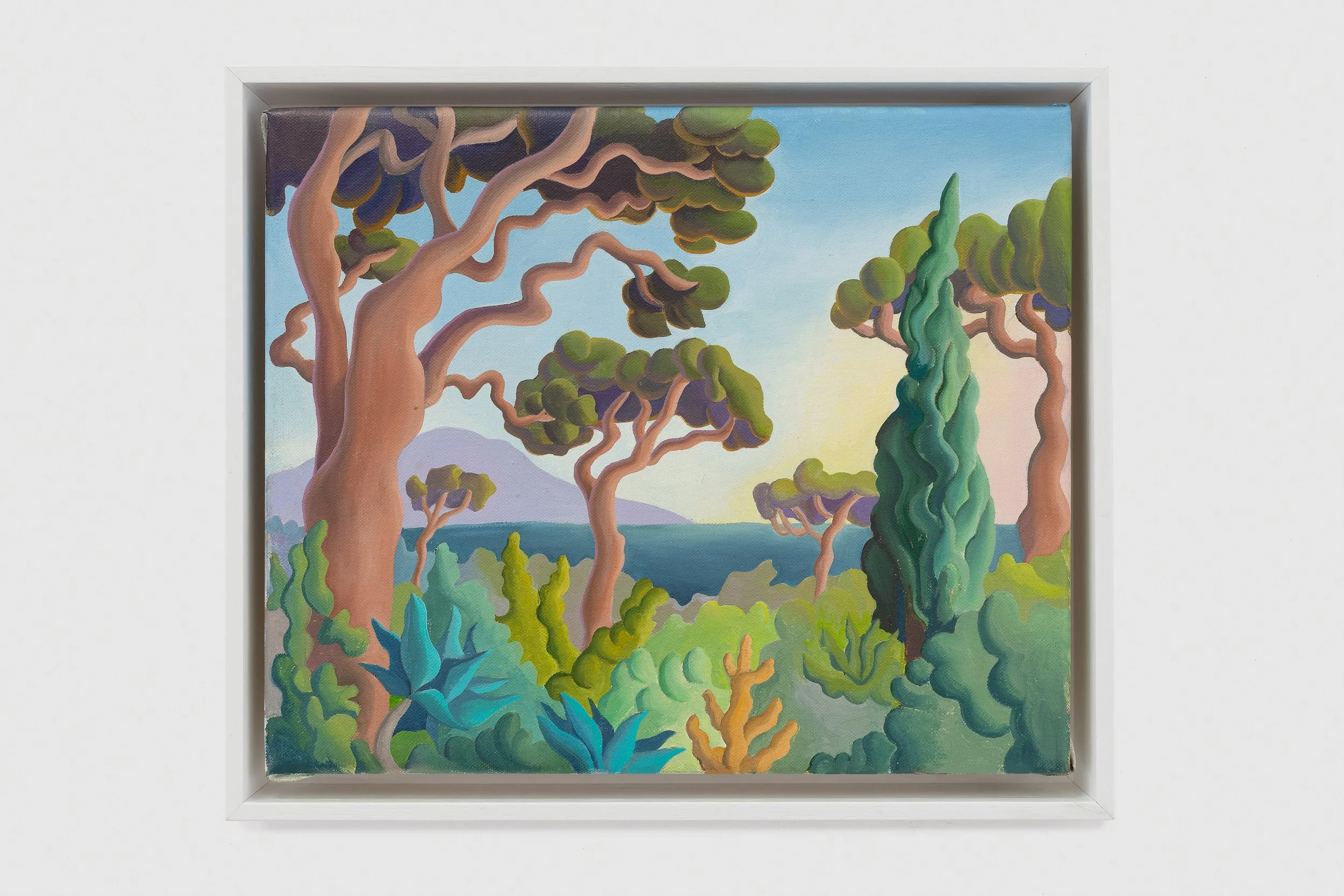 5 Stone Pine and 1 Cypress Tree, 2023