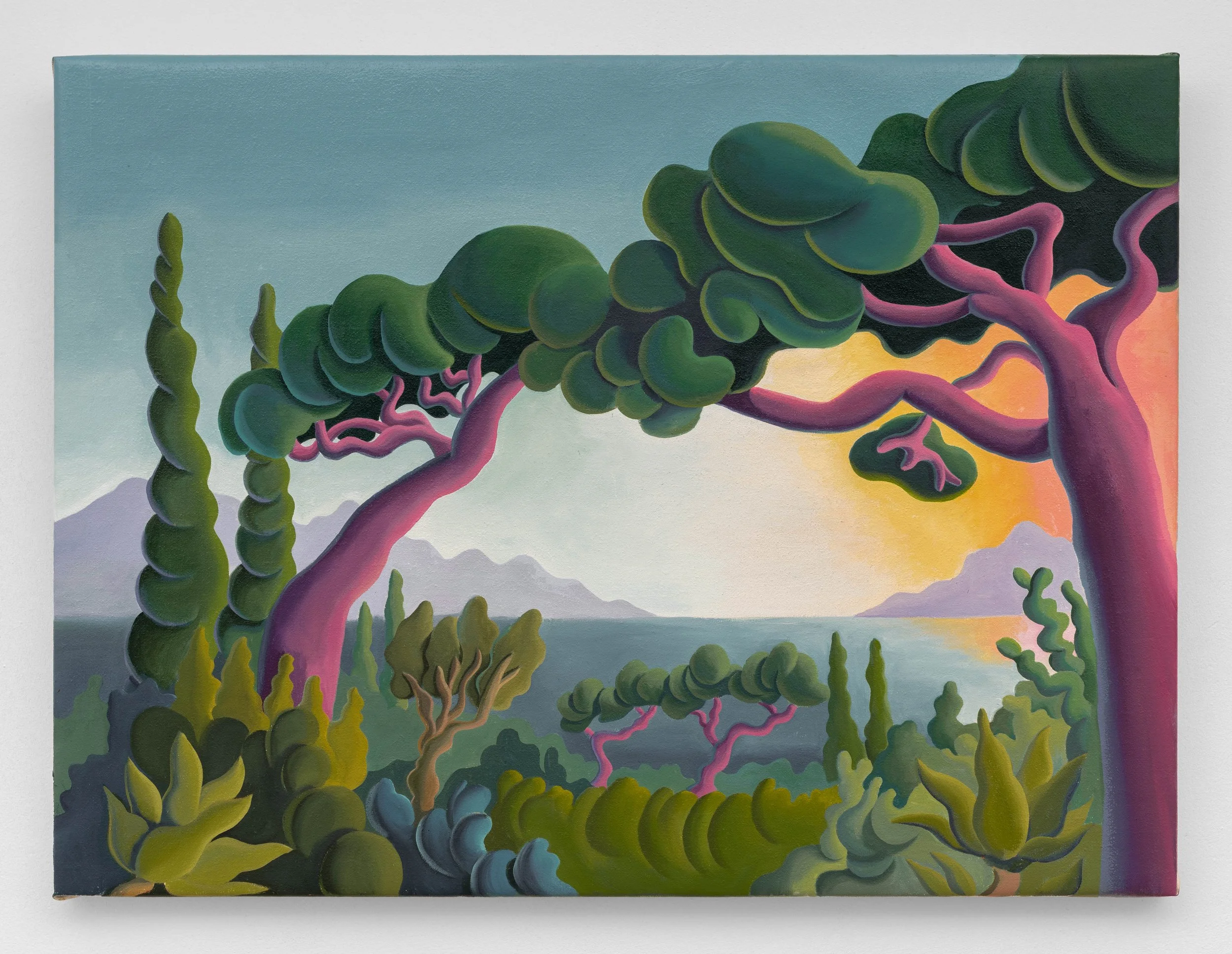 Pink light stone pines