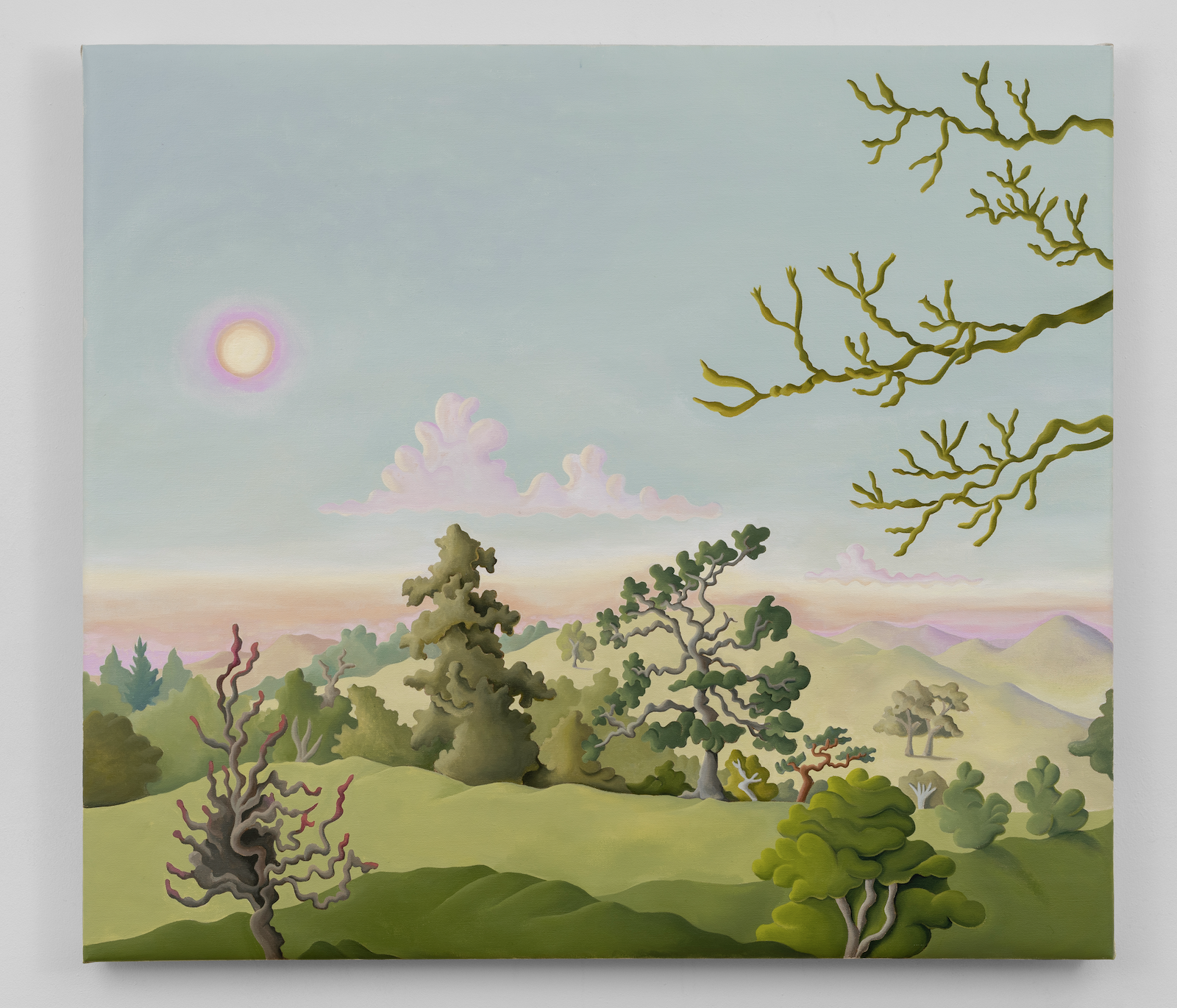 Broughton Sanctuary 2023