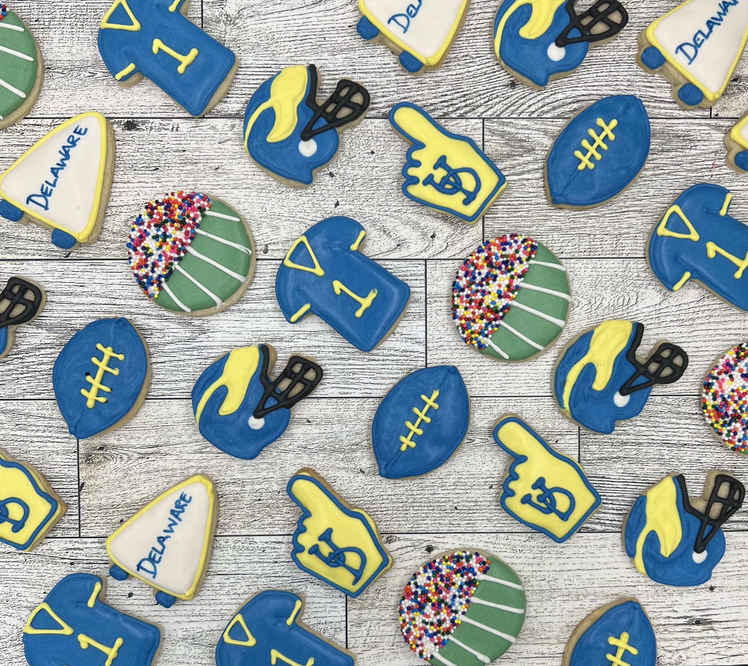 University of Delaware