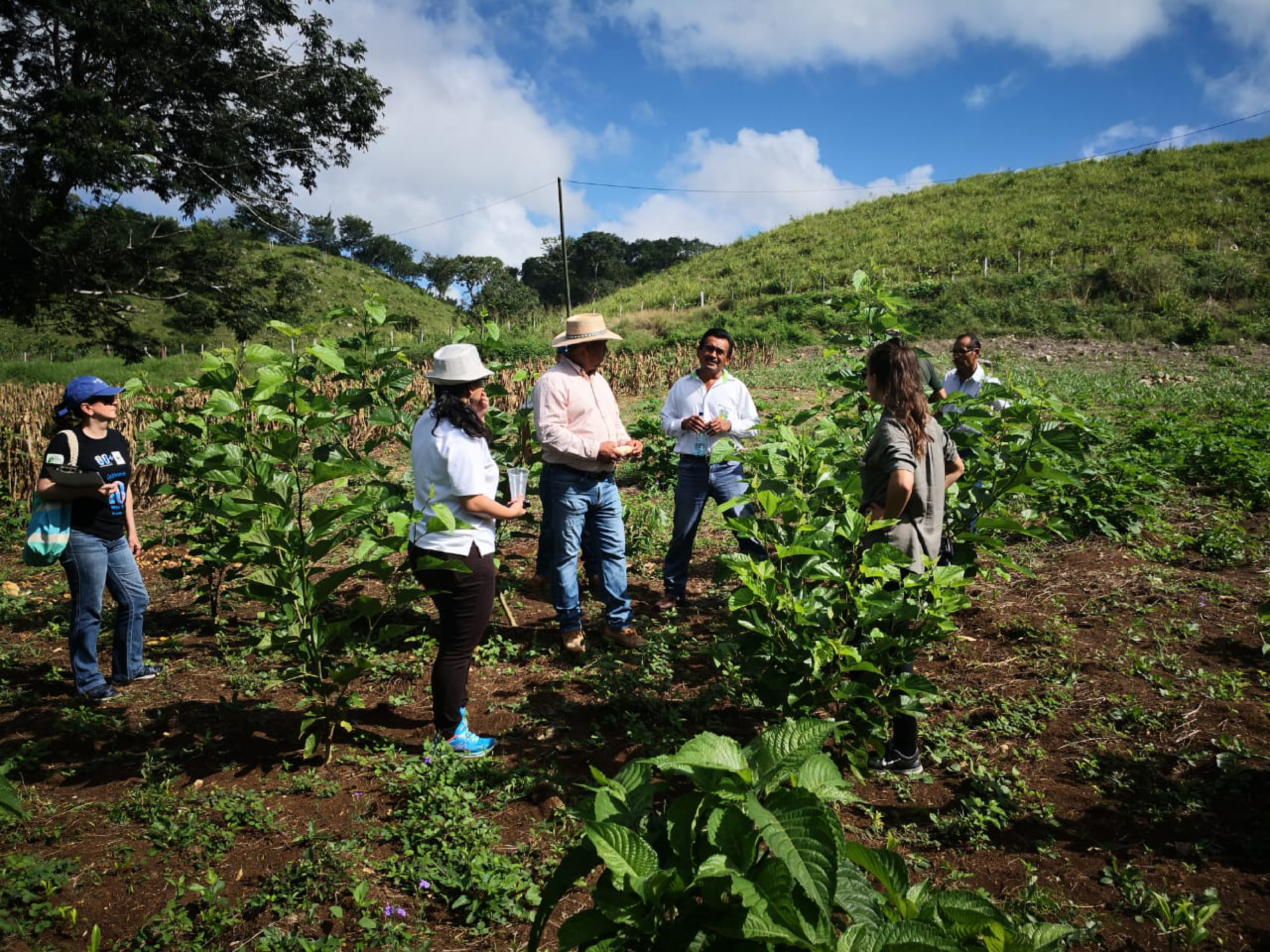 Visitando potenciales iniciativas AbE en Petén, Guatemala. / Foto: Amelia Coj, ADIMI