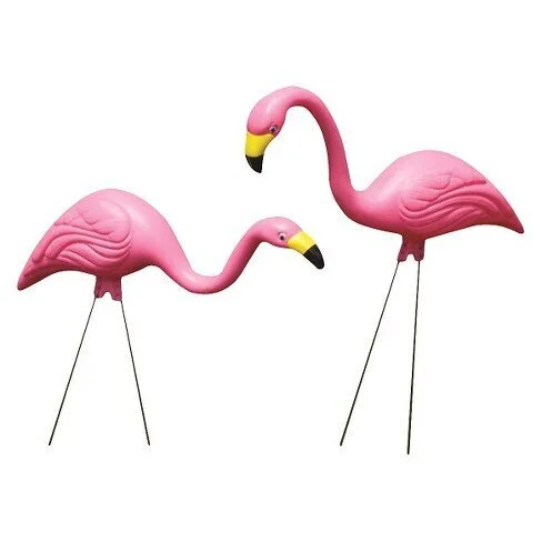 flamings.jpg