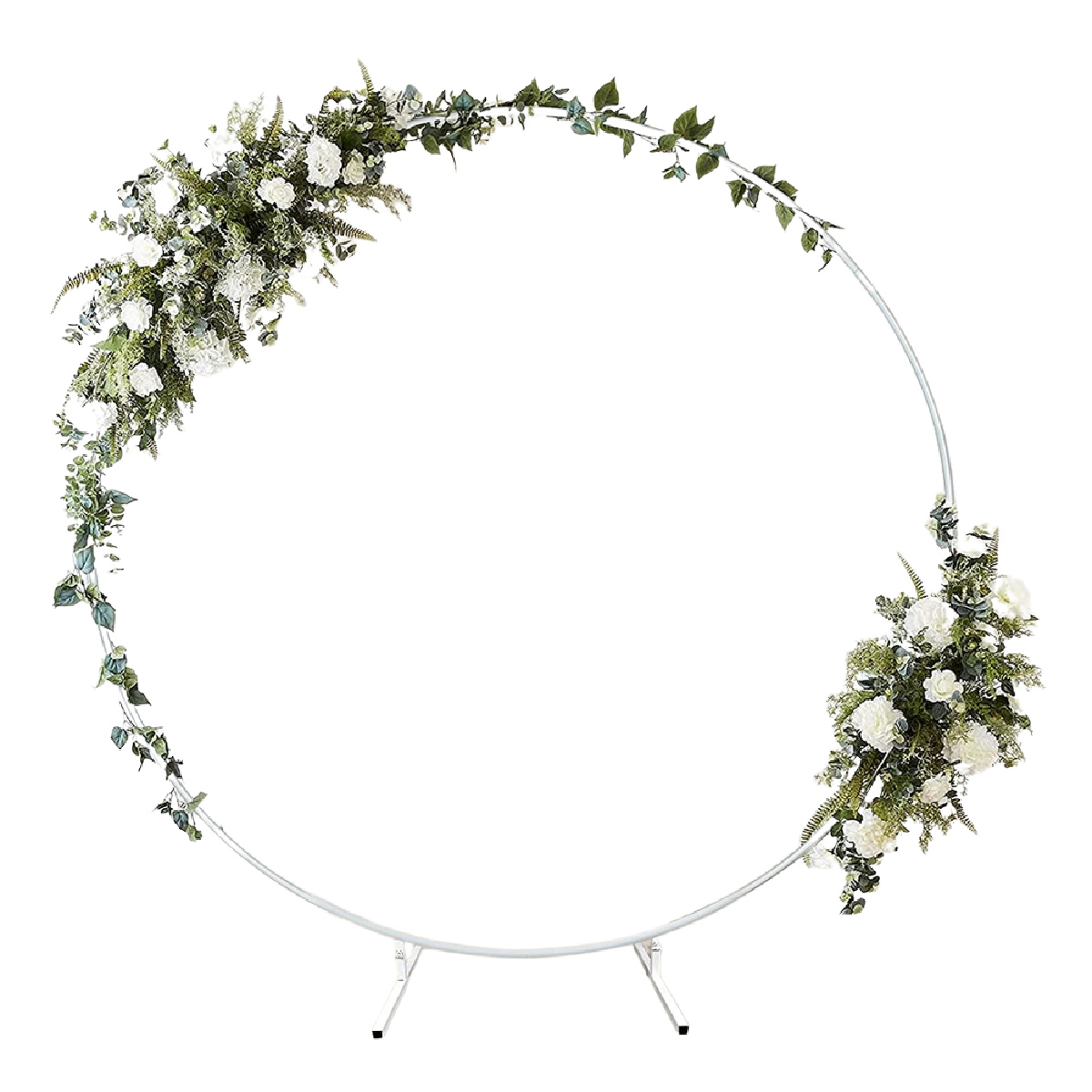 roundbackdrop.png