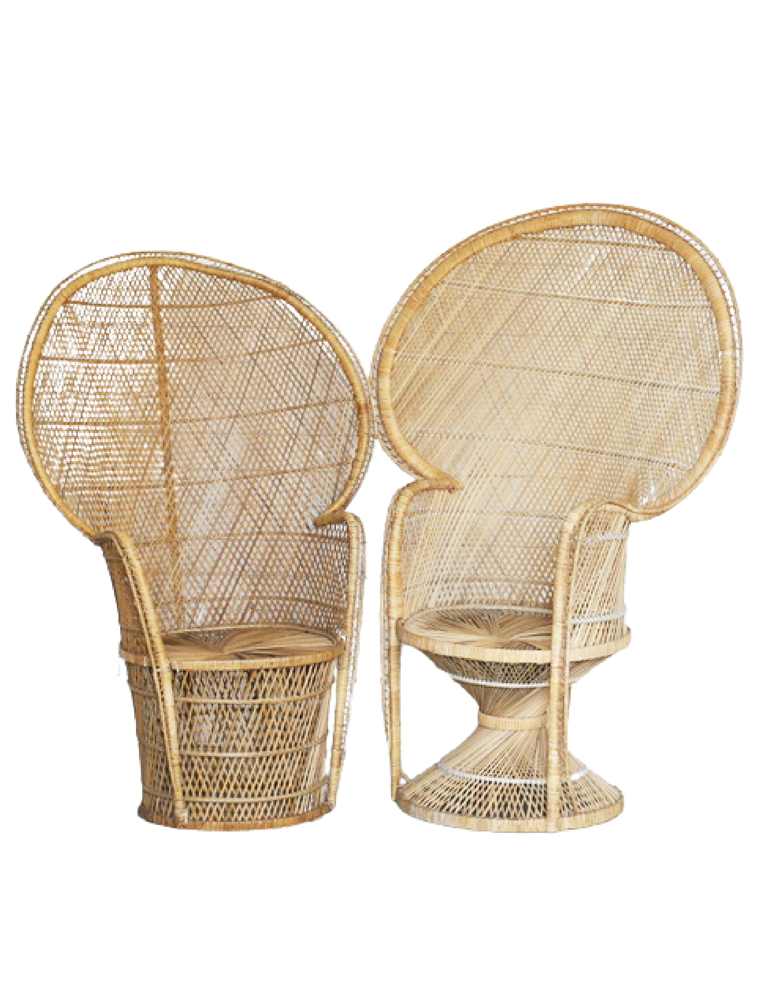 Peacock Chairs