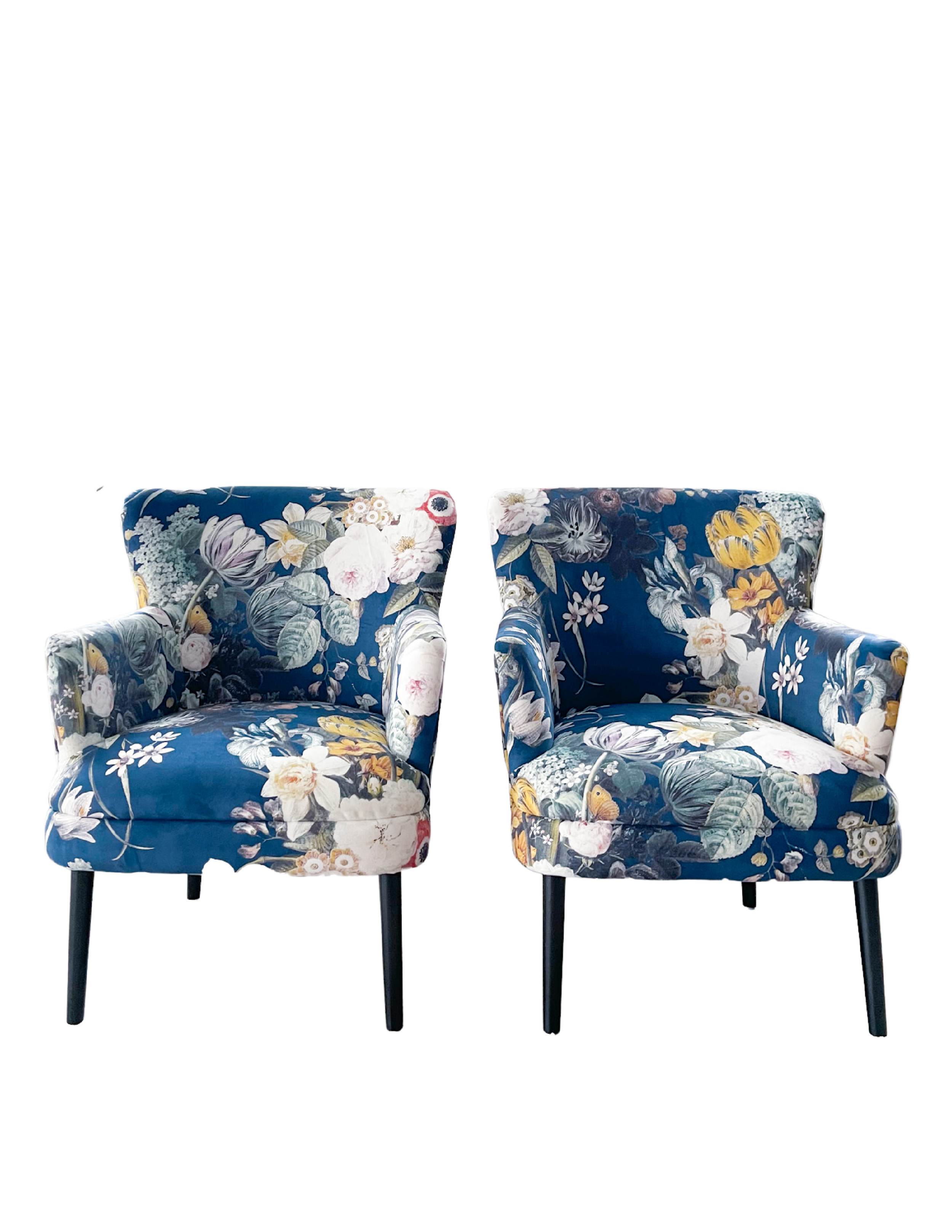 Flora + Fauna