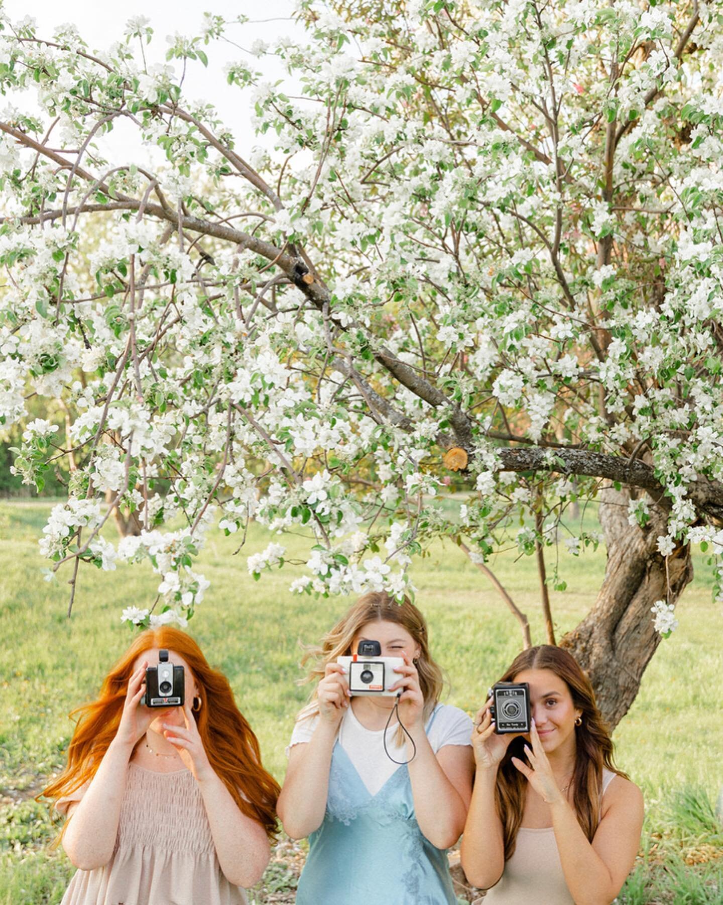 Bring on all the pastel picnic photo shoots please!!🌸✨

Photographer: @livbygrace 
Styled by: @whitehouse.co 
Floral: @lovealwaysfloral 
Team behind the magic: @liv.abe &amp; @grace.heinen 
Cake: @nicholesfinepastry 
Puppy Owner: @nicolemidwest 
#pa