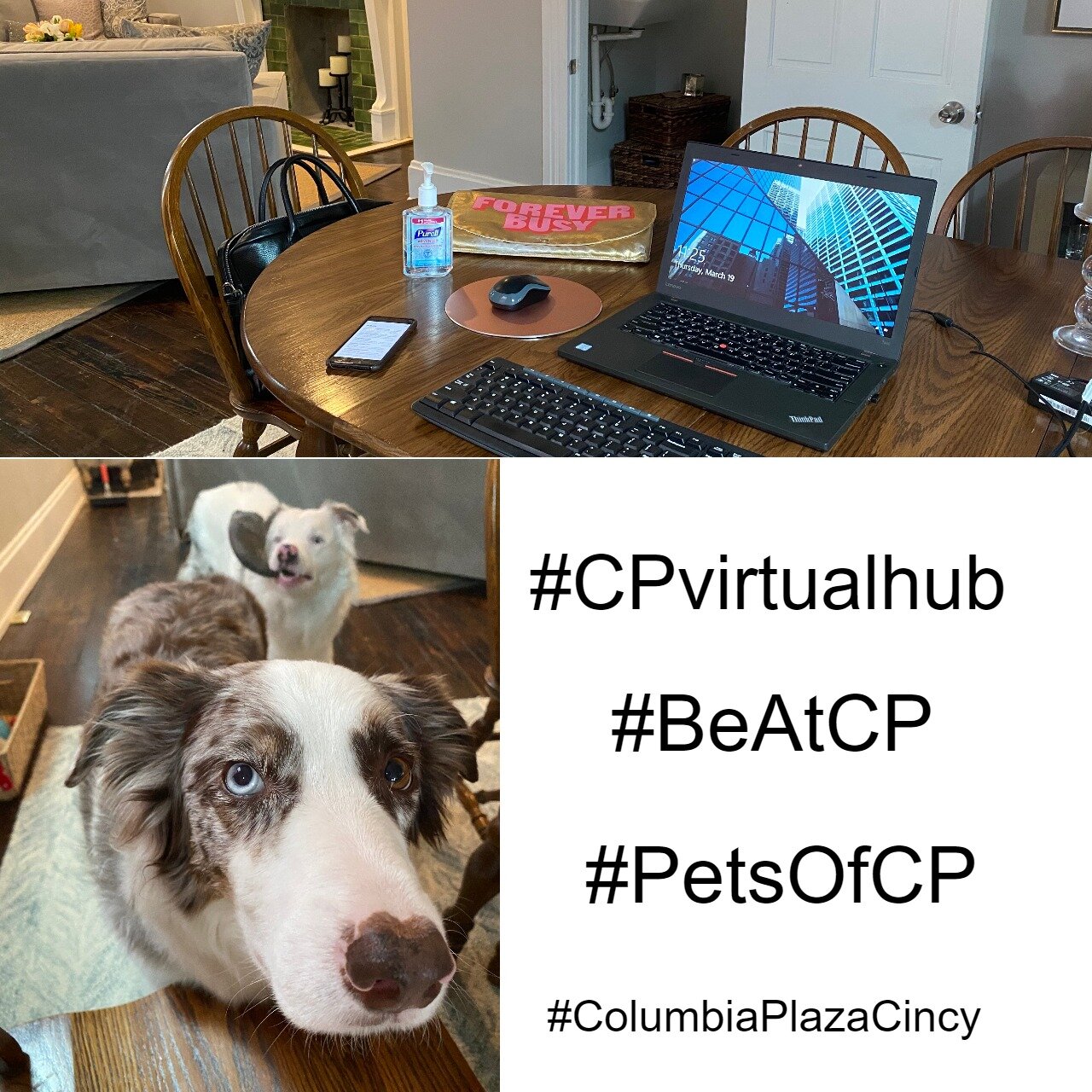 CP Community Newsletter 3.19