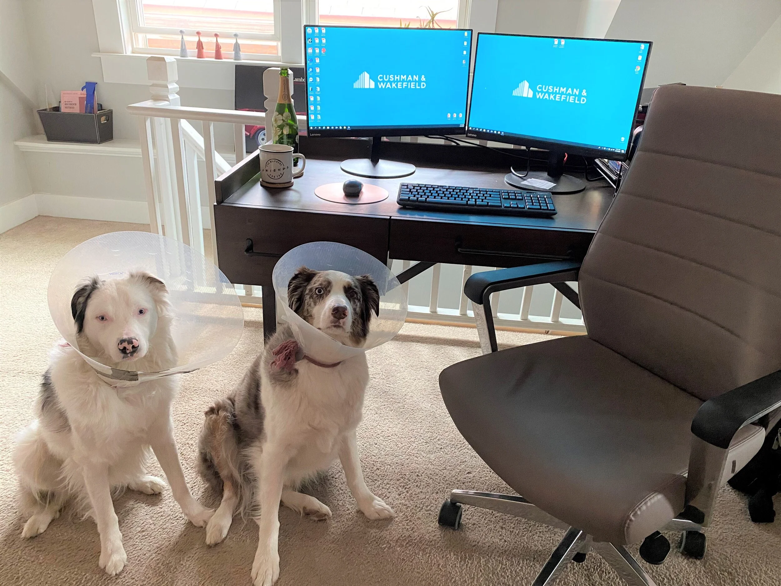 CP Community Newsletter 3.24