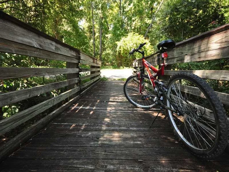 Exercise&nbsp;Best Bike Trails in CincinnatiI grew up in Loveland, so I may be a little bit partial...but there are so many great bike trails in Cincinnati.   Click here to check out the list of the best bike trails in the city.   (This would be a f…