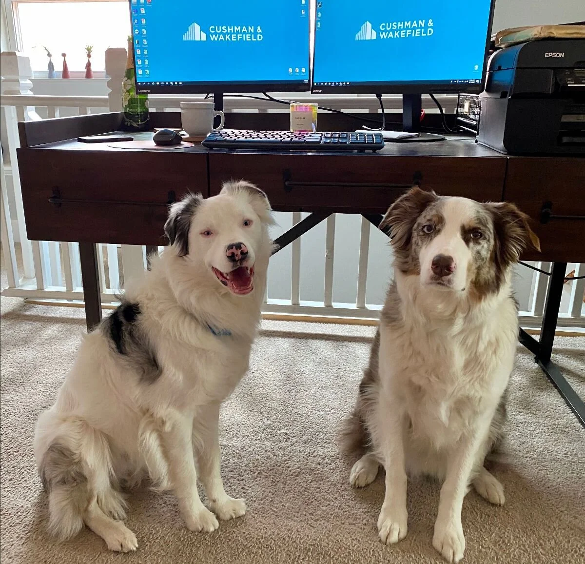 CP Community Newsletter 5.12