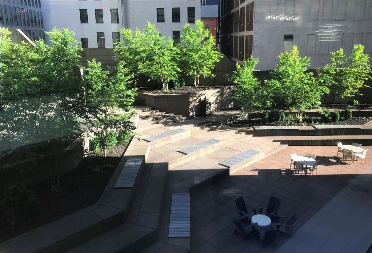 CP Community Newsletter 5.19