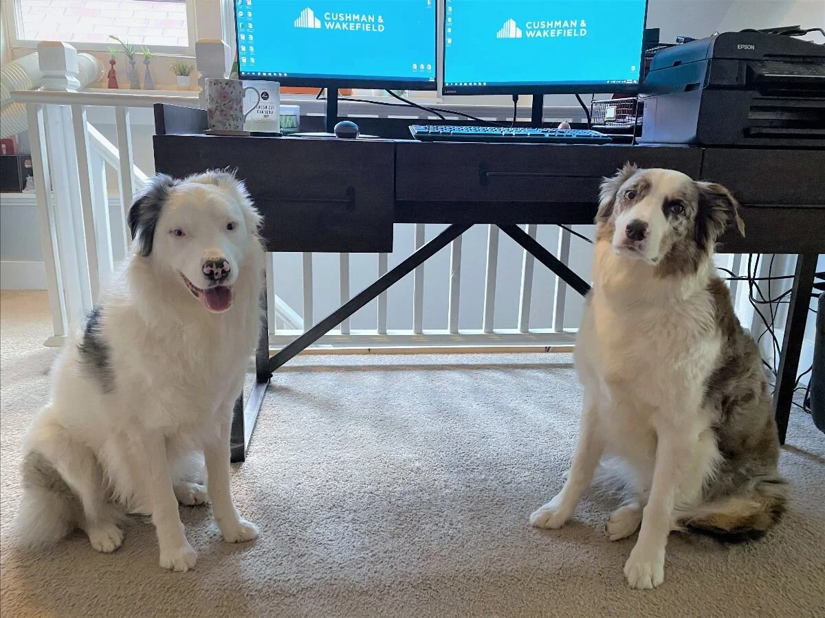 CP Community Newsletter 7.14