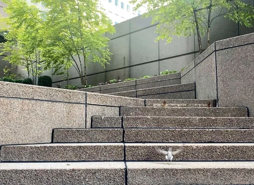 CP Community Newsletter 7.28