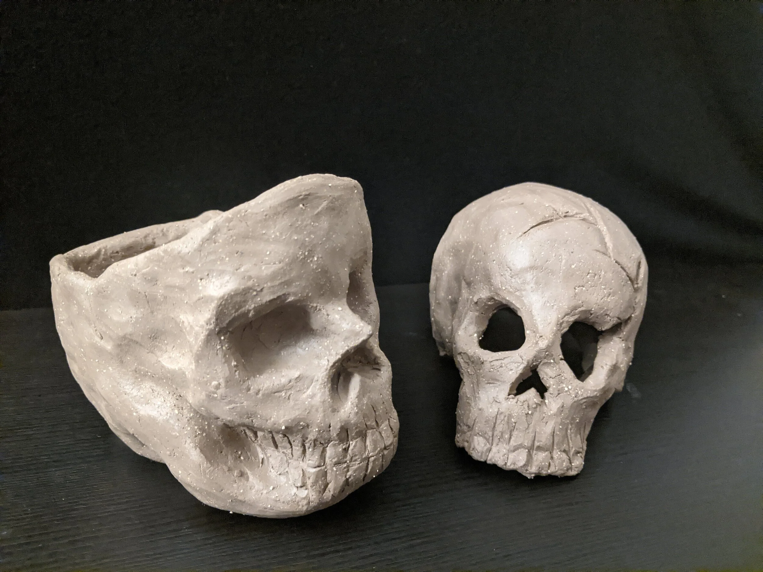 CP Community Newsletter 11.5