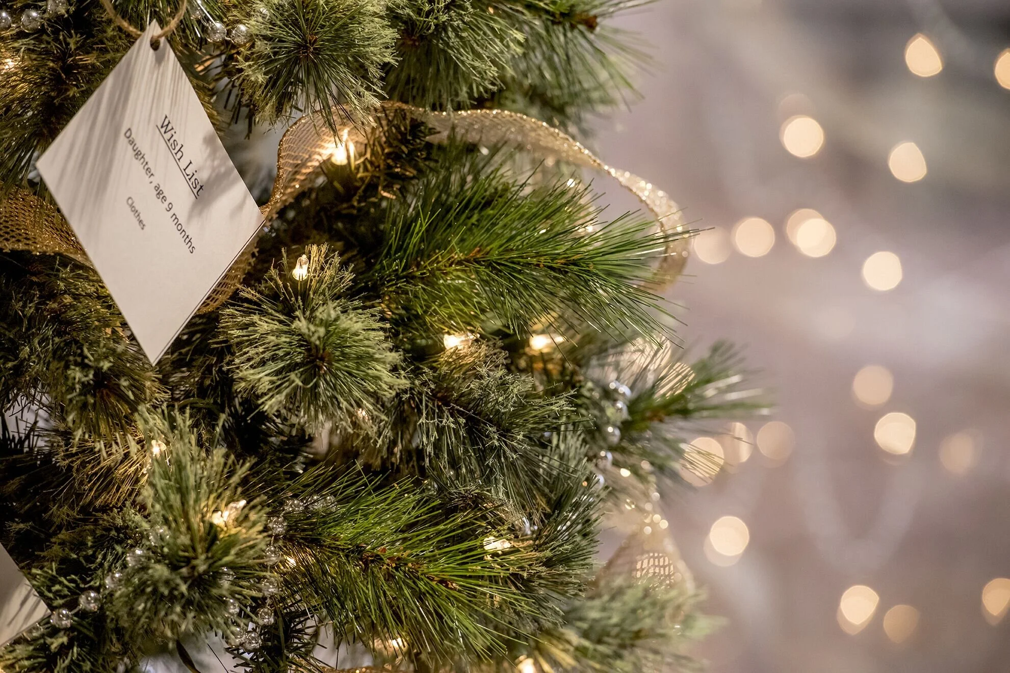 CP Community Newsletter 11.19