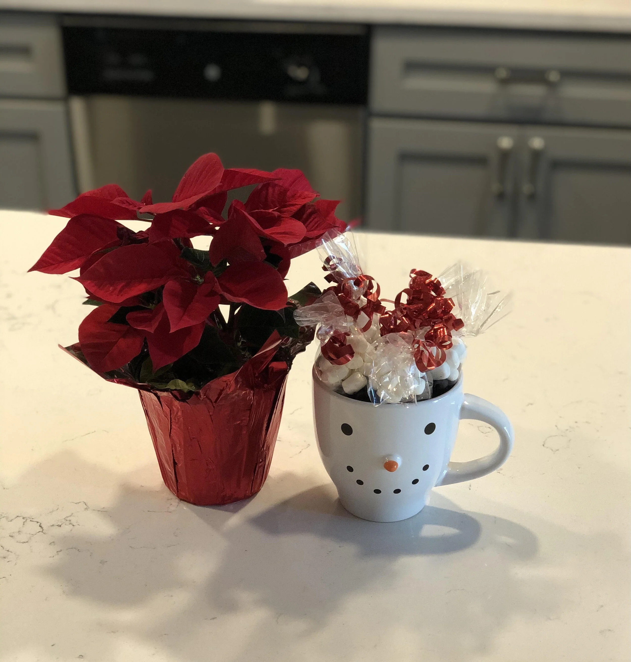 Holiday Together, Apart Photos