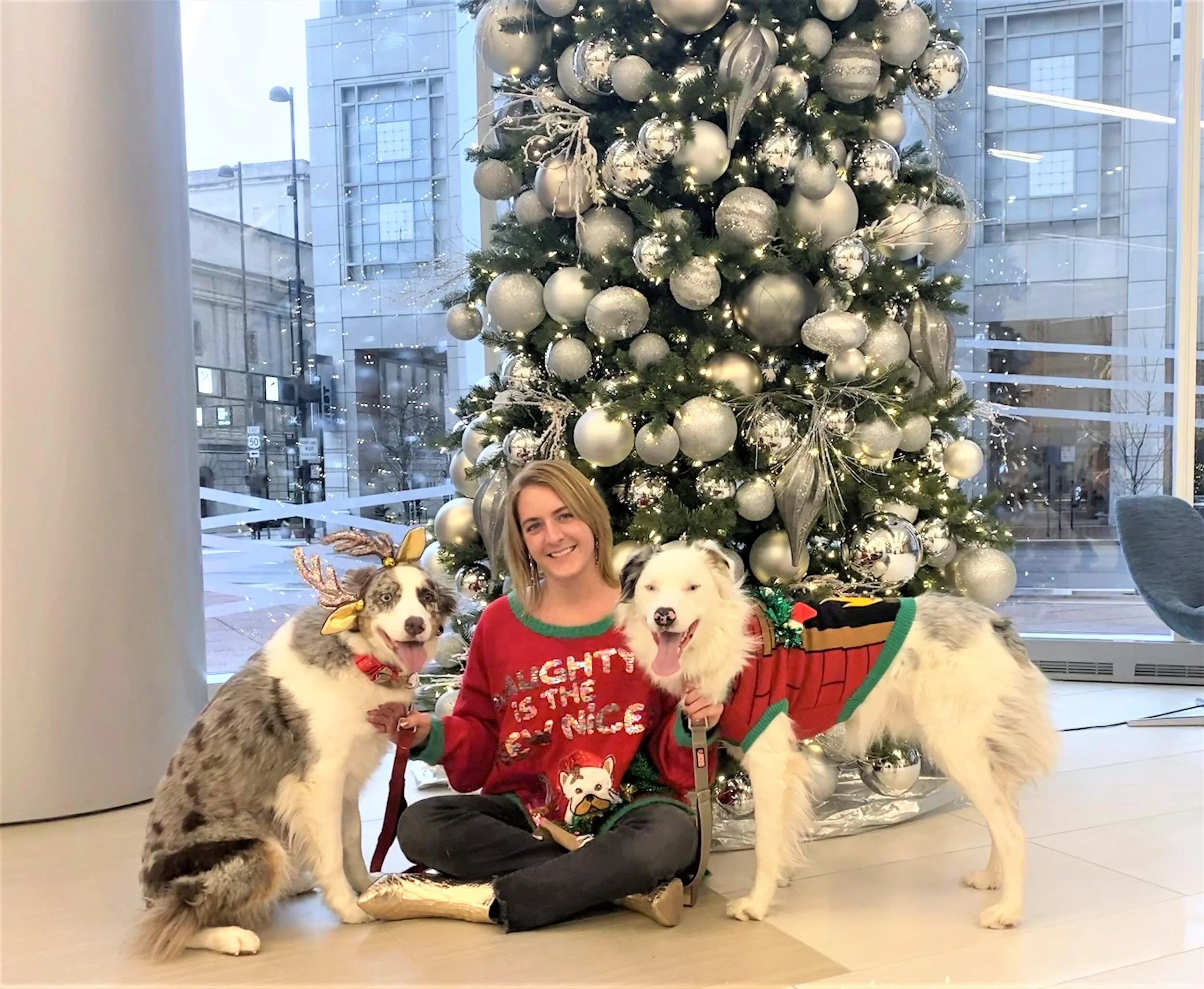 CP Community Newsletter 12.17