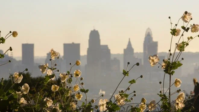 CP Community Newsletter