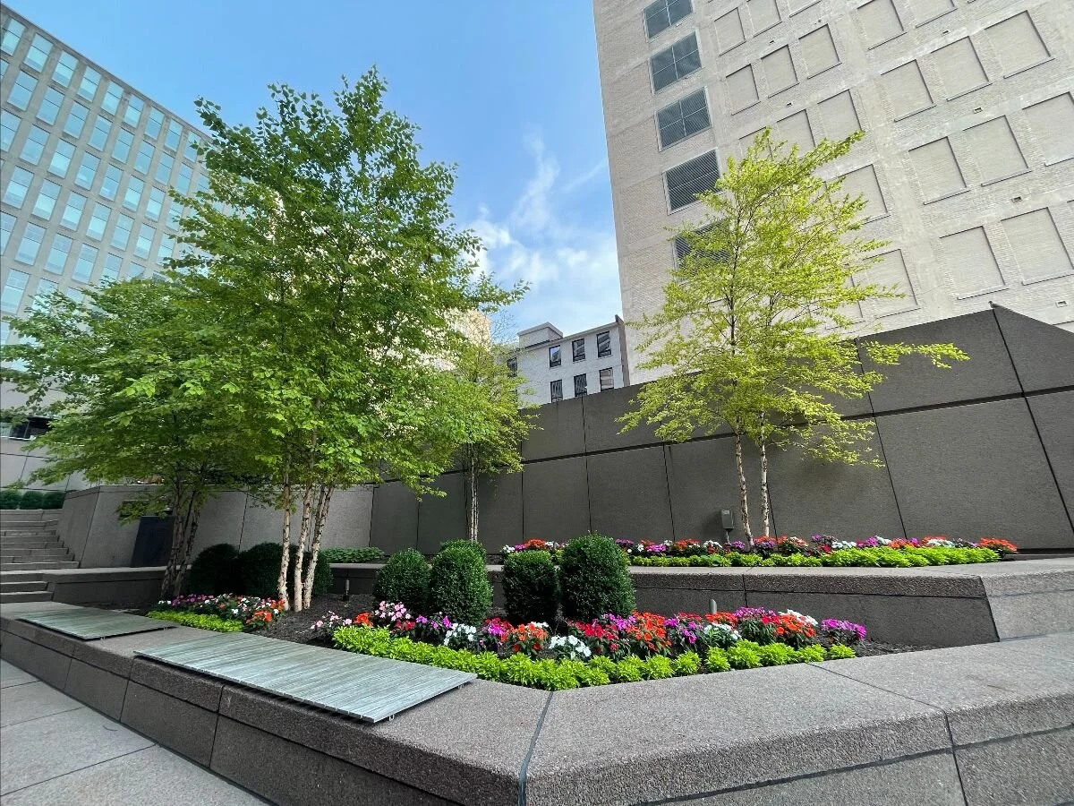 CP Community Newsletter