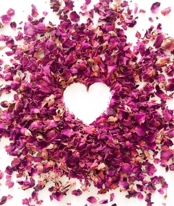 CP Community Newsletter