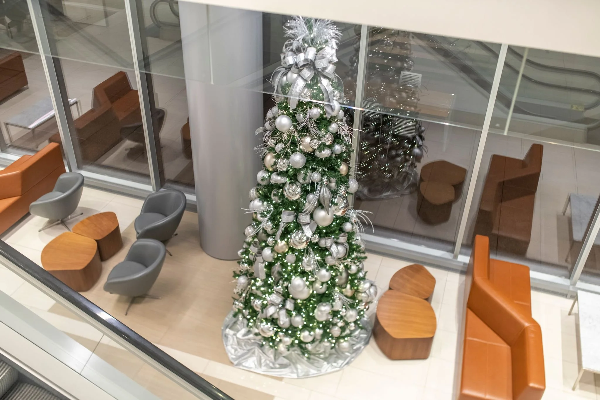 CP Community Newsletter