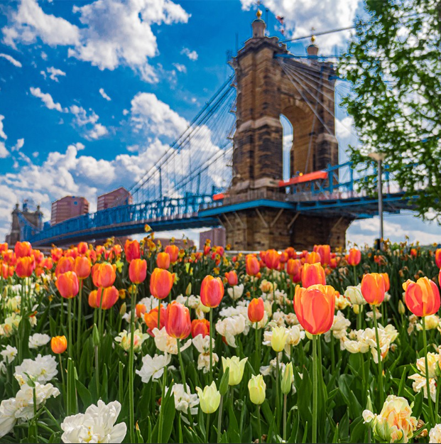 CP Community Newsletter