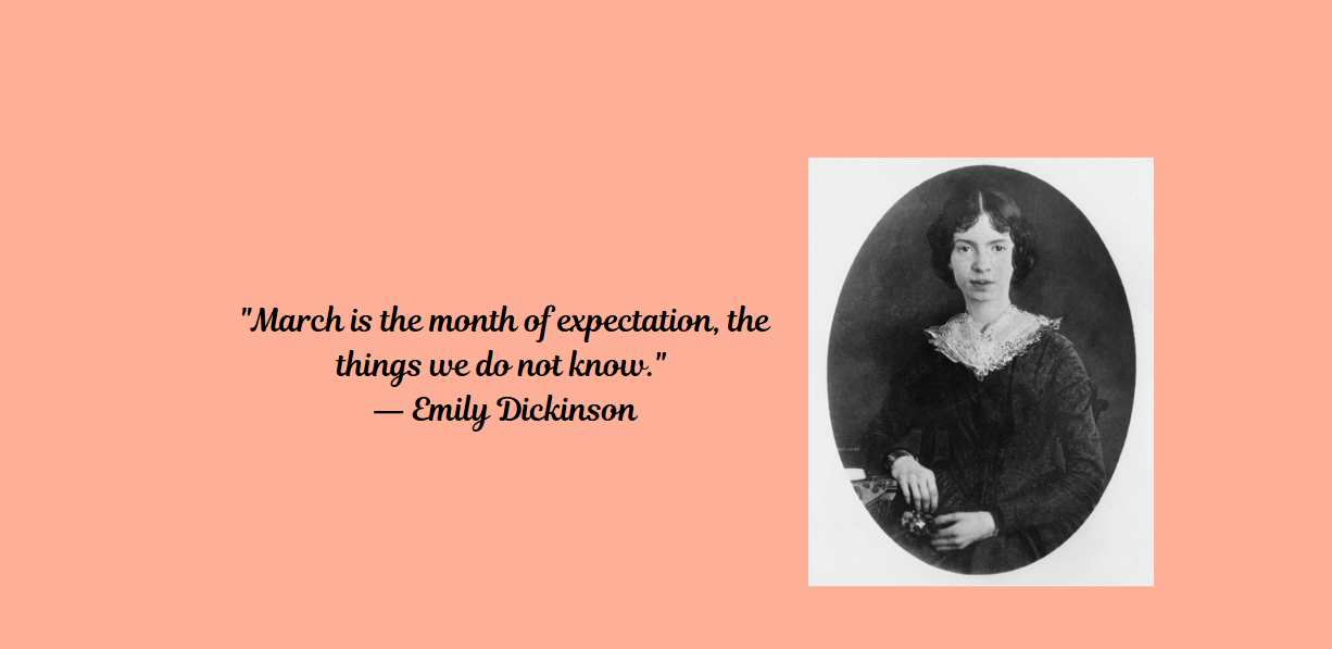 CP Community Newsletter