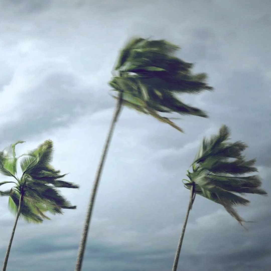 WIND.jpg