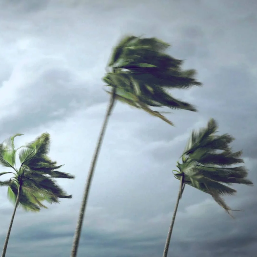 WIND.jpg