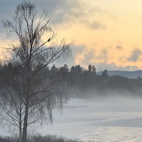 Schubert's Winterreise in Oslo