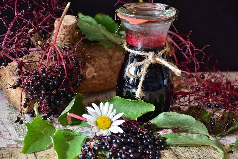 DIY Elderberry Syrup Workshop