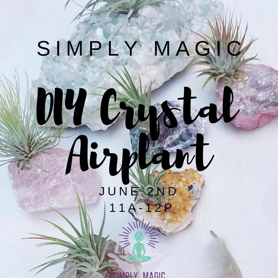 DIY Crystal Airplant