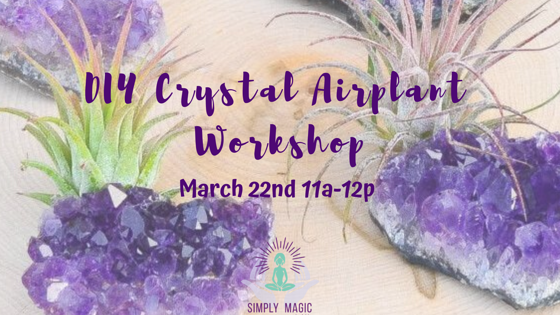 DIY Crystal Airplant Workshop