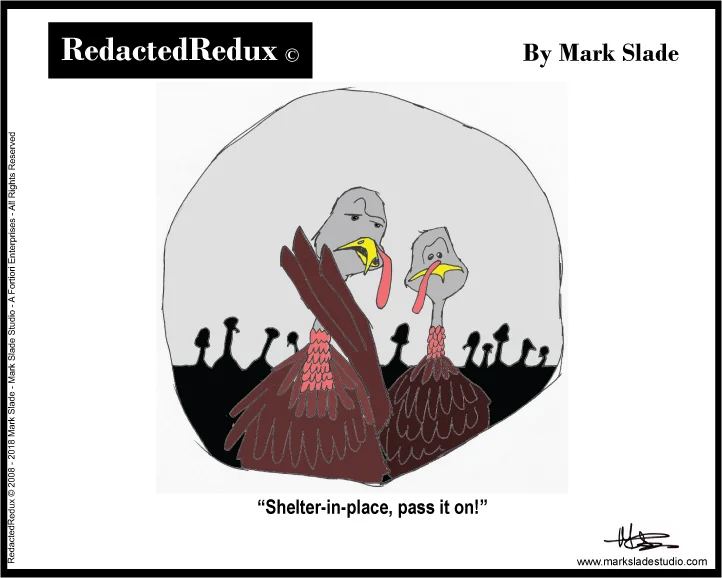 TURKEY-SHELTER-IN-PLACE--final-11.19.18.jpg
