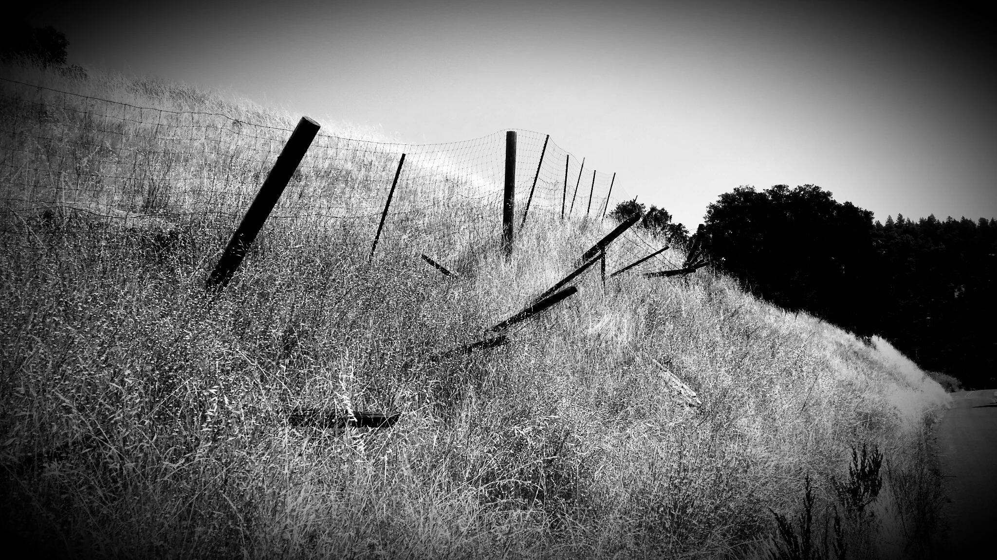 FROM ANOTHER TIME - FM07