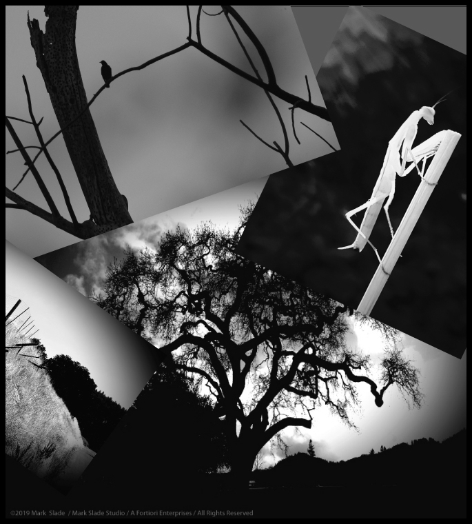 MSSTUDIO-BLOG-PHOTO-MONTAGE crop frame.jpg