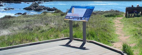 Tidepool_main_photo.jpg
