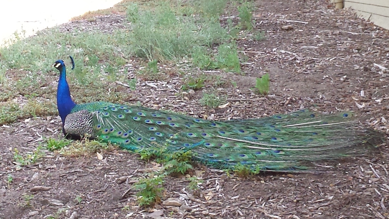 20180613_101407.jpg