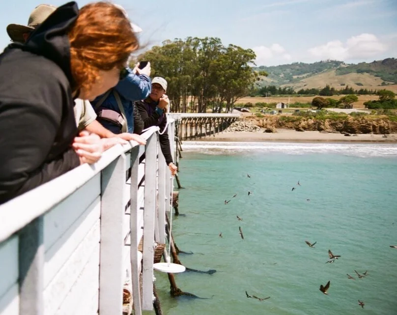 Completed another great California Naturalist Course on July 21